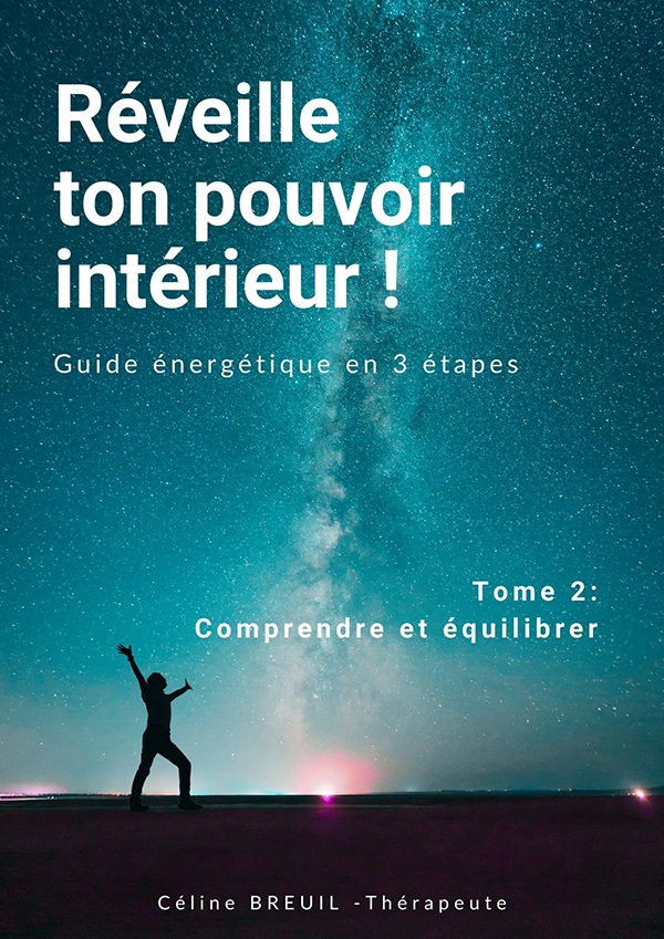 Réveille ton pouvoir intérieur ! Tome 2 Comprendre et équilibrer